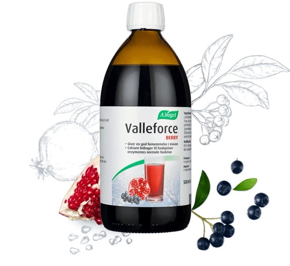 Valleforce Berry A. Vogel 500 ml