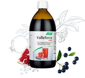 Valleforce Berry A. Vogel 500 ml