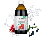 Valleforce Berry A. Vogel 500 ml