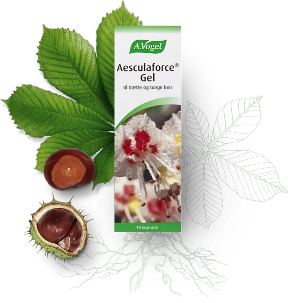 Aesculaforce Gel A. Vogel 100 g