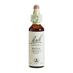 Bach Vandrøllike Water Violet 34