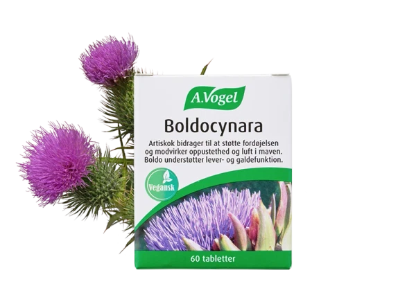 Boldocynara A. Vogel 60 tabl
