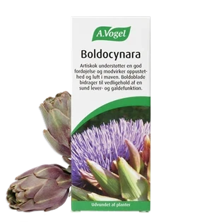 Boldocynara A. Vogel 100 ml