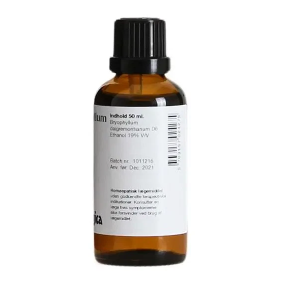 Bryophyllum D6 draaber 50 ml 01