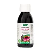 Echinacea Hot Drink med Hyldebær A. Vogel 100 ml