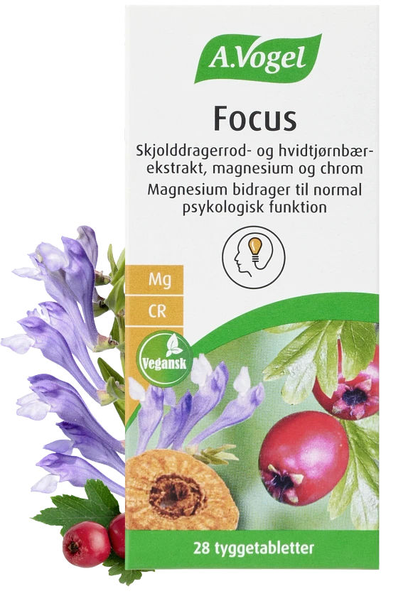 A. Vogel Focus 28 tyggetabletter