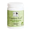 Gastro Gel 60 tyggetabletter