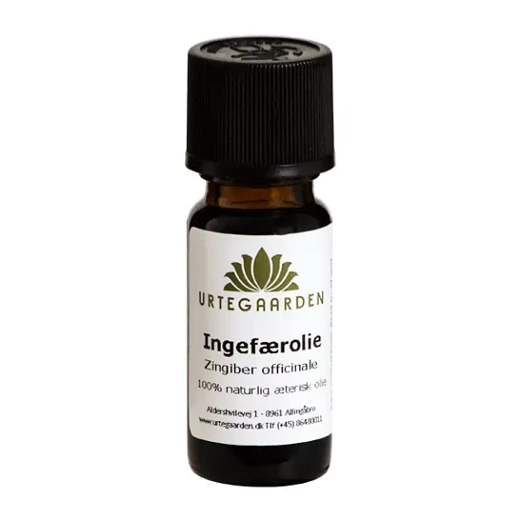 Ingefærolie æterisk 10 ml