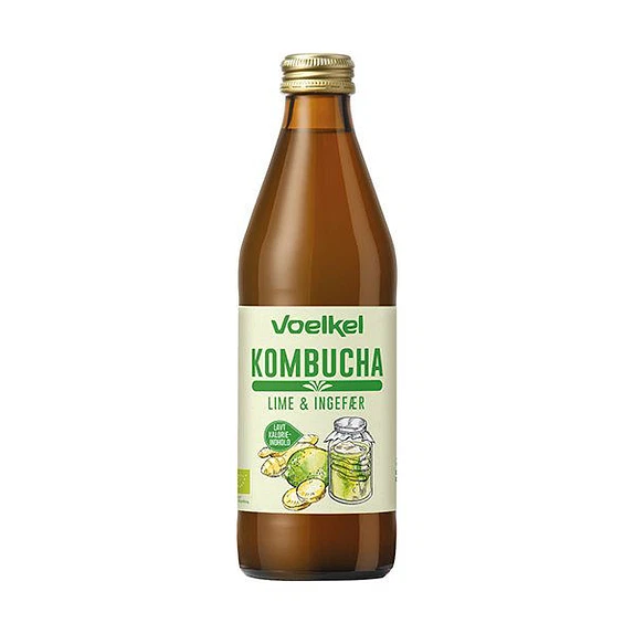 kombucha lime-ingefær ø