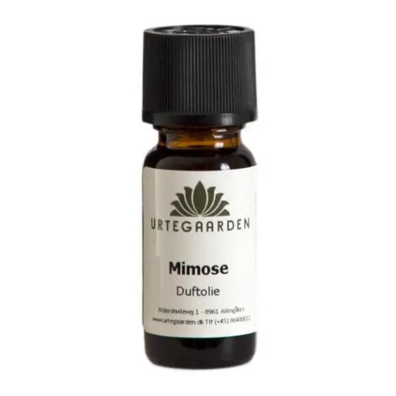 Mimose duftolie 10 ml