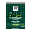 Mulberry 120 tabletter