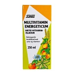 Multivitamin Energeticum Eliksir Salus 250 ml