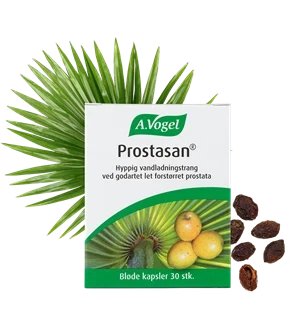 Prostasan A. Vogel 30 kaps