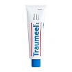 Traumeel S Salve Heel 100 g