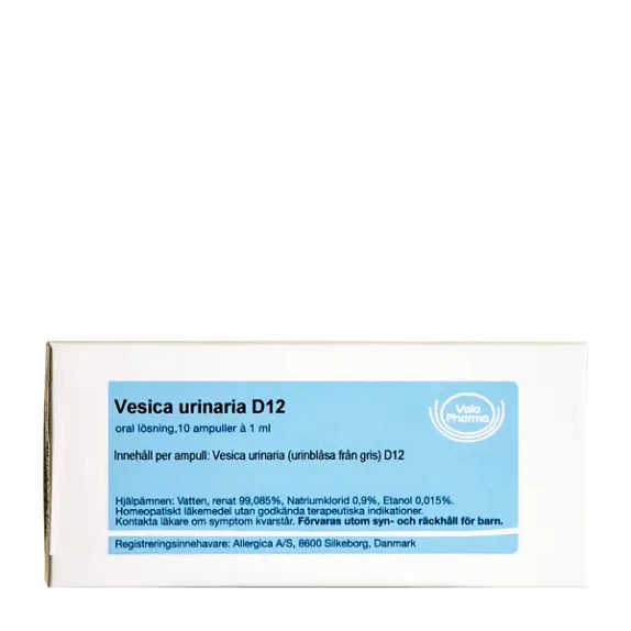 Vesica urinaria D12 10 ampuller