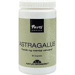 Astragalus 90 kapsler