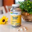 Cal-Mag Citrat med vitamin D Solaray 270 VegKaps