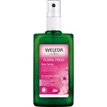 Weleda 24h Deo Spray Wild Rose 100 ml