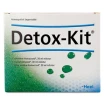 Detox-Kit 3x30 ml