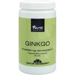 Ginkgo 90 kaps.