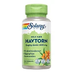 Havtorn Til Slimhinderne Solaray 100 kapsler