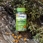 Havtorn Til Slimhinderne Solaray 100 kapsler