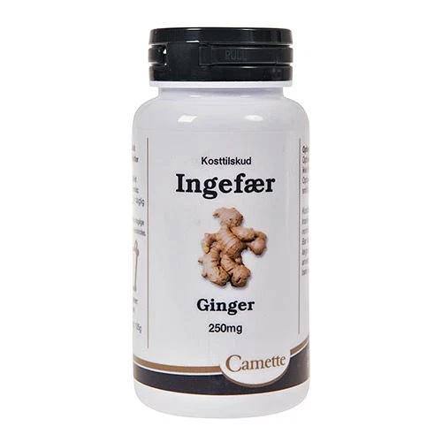 Ingefær Ginger Camette 140 tabletter