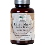 Lions Mane Active Brain Gummies