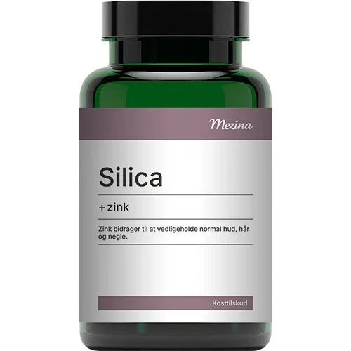 Mezina Silica + Zink 240 tab.