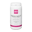 Probiotic Leaky-G + Collagen Peptides NDS 175 g