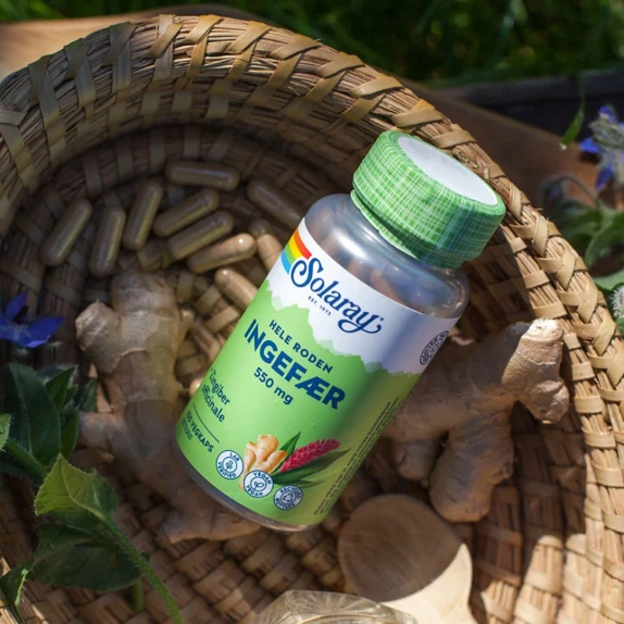 Ingefær Solaray 100 kapsler