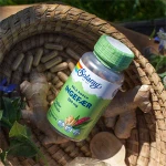 Ingefær Solaray 100 kapsler