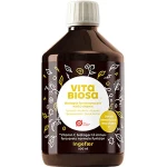 Vita Biosa Ingefær 500 ml økologisk