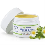 Well'Gå Creme 105 ml